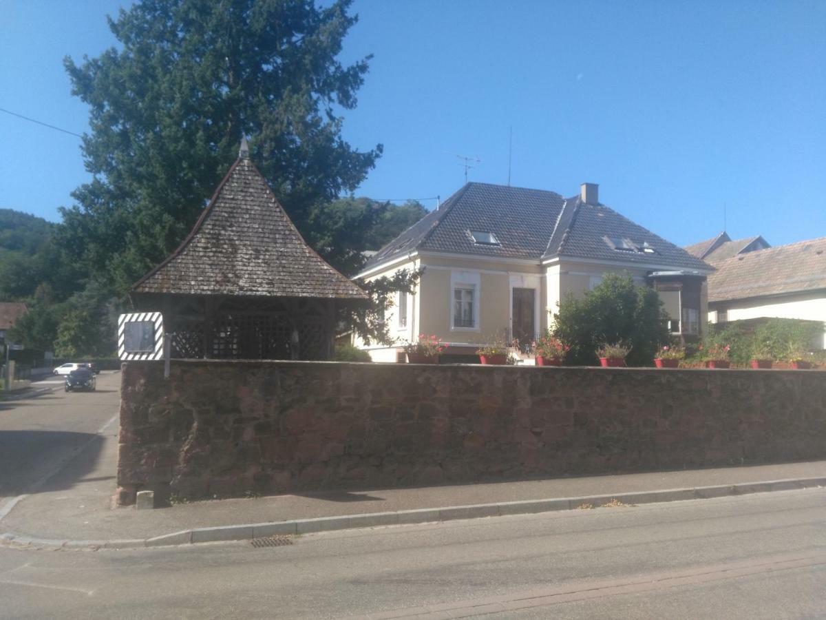 Chambres Privatives Chez L'Habitant Guebwiller Kültér fotó