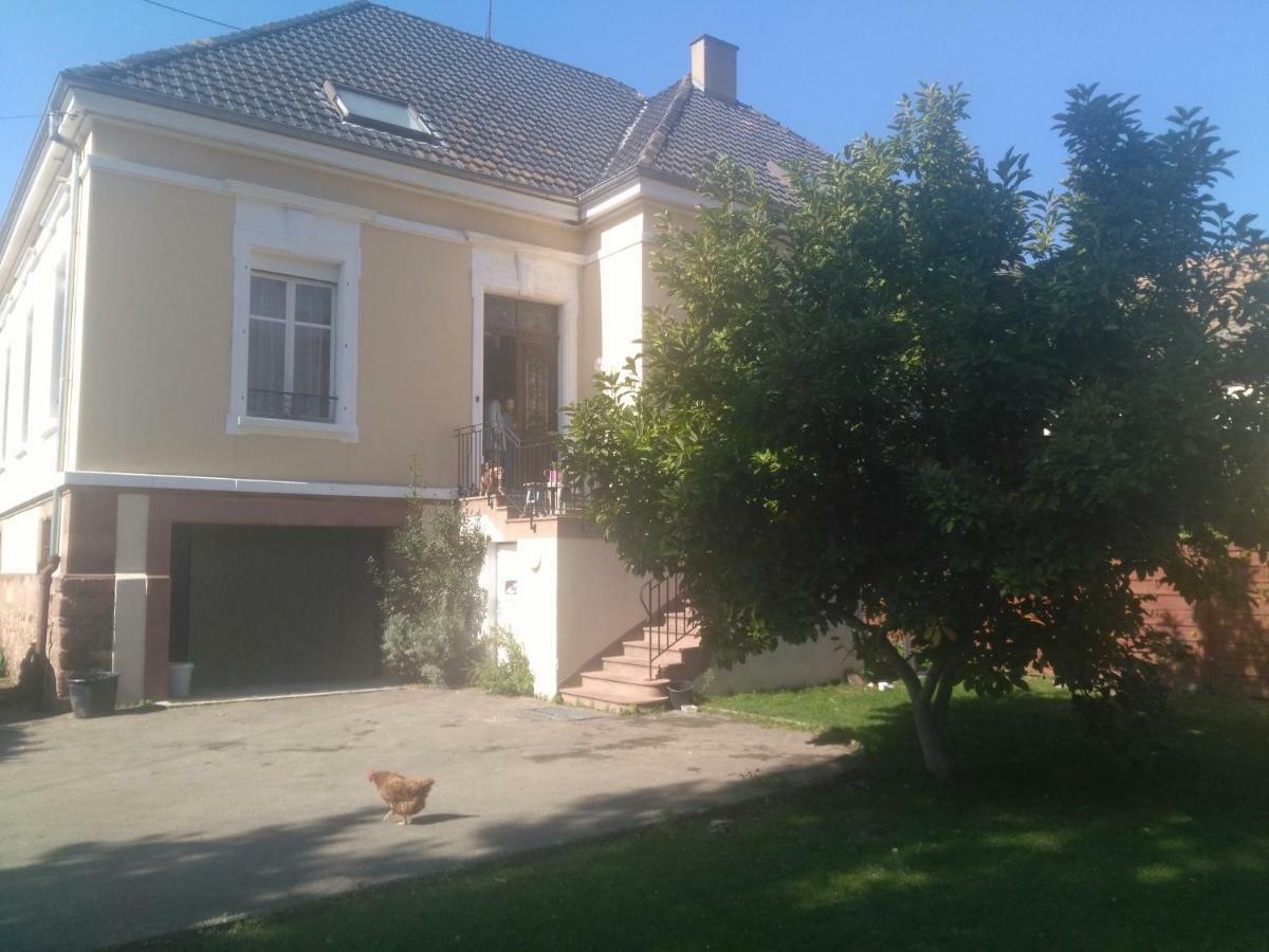 Chambres Privatives Chez L'Habitant Guebwiller Kültér fotó